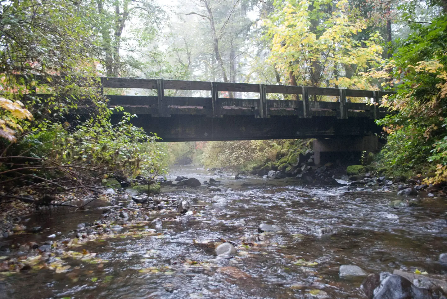 Big Creek (Gifford Pinchot National Forest, WA)