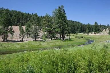 Cold Springs Cabin - Ochoco Nf (OR)