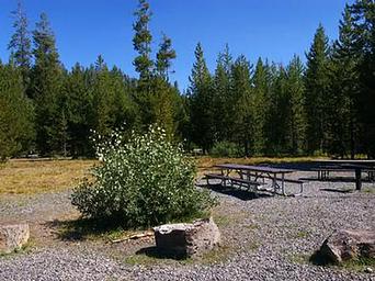 BIG SPRINGS GRP. AREA - ISLAND PARK