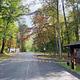 A blacktop road with trees near and a brown building to the right.