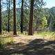 Marcus Island Campground. Trees and hill in the background.