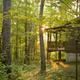 Cabin exterior nestled in mature woods at sunset — clearly represents the cottages described on the property site and conveys the wooded, private setting.