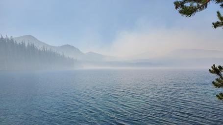 Shadow Bay