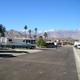 Encore Palm Springs Oasis