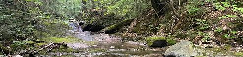 Chittenden Brook Campground