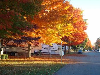 View of an RV row under autumn foliage showing paved roads and RV hookups — useful to depict RV camping layout and site spacing; shown on the resort homepage background image.