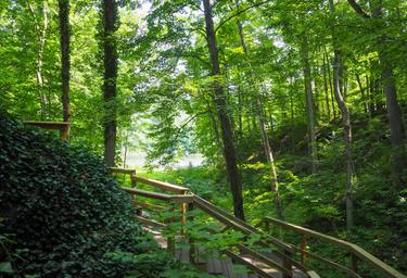 Thousand Trails Bear Cave