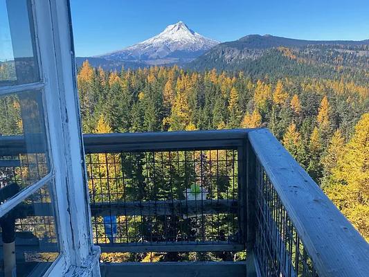 Flag Point Lookout Tower, Loop: 1