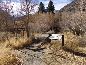 Convict Lake Campground trail to fishing creek in campground. 