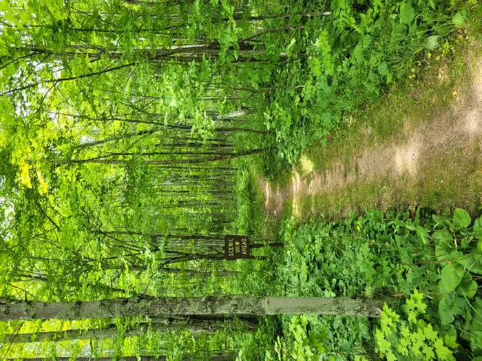 Black River Harbor Campground