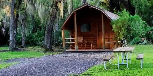 Cozy wooden cabin in a lush forest setting with a picnic table nearby.