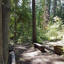 Trail at Osprey Campground