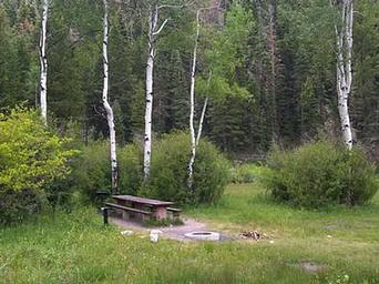Manti Community