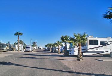 Wide view down an RV lane with multiple full-size motorhomes and palm trees — illustrates typical RV pitches and site layout on the property.