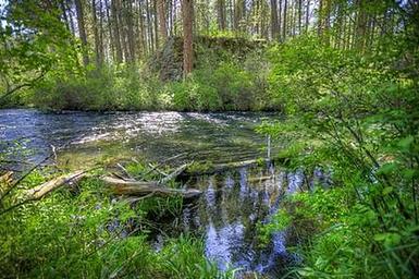 GORGE CAMPGROUND