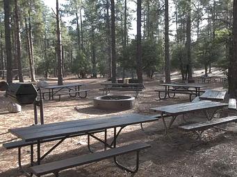 UPPER WOLF CREEK GROUP CAMP FIRE PIT 