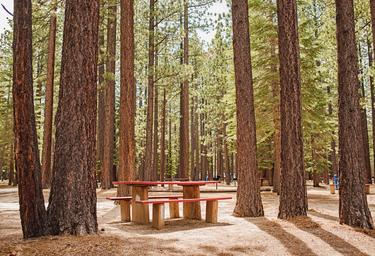Tahoe Valley Campground