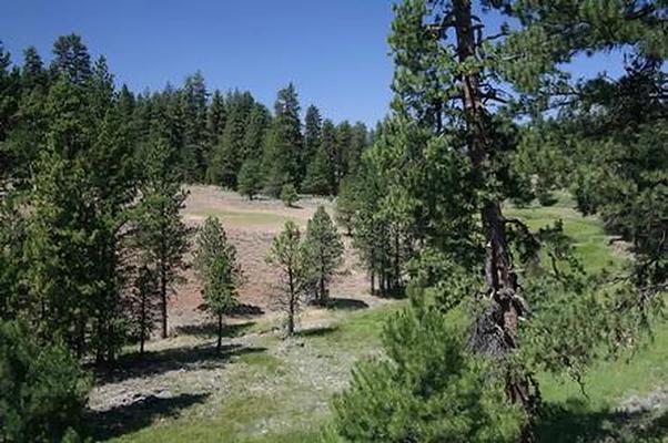 CSGS, Loop: AREA COLD SPRINGS CABIN