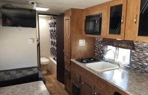 2017 Forest River Salem Cruise Lite 176BH