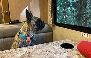 Your Home on Wheels! Furry friend approved!
