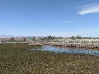 Spring at Pelican Lake 