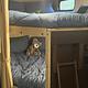 Forest River RV Cherokee Grey Wolf - Sleeps 9