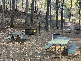 Crystal Creek Primitive Campground Site 2