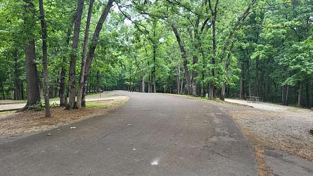 C Leg - Coon Creek Campground