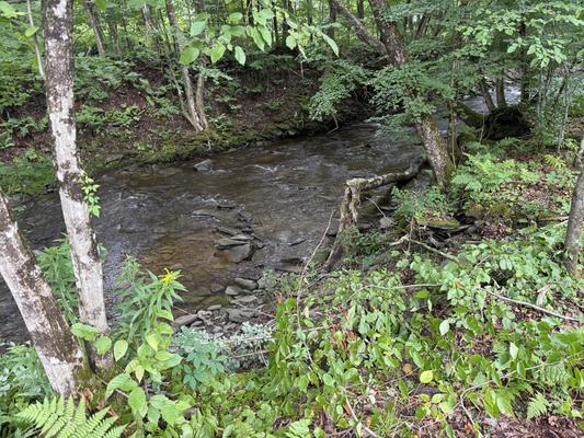 Pocahontas Tent Territory
