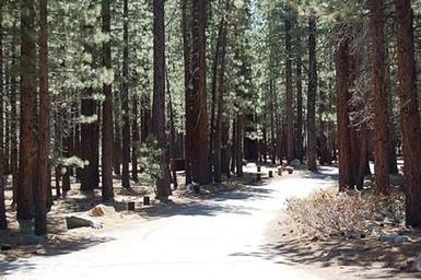 OLD SHADY REST CAMPGROUND