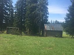 Buck Park Cabin