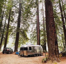 Gualala River Redwood Park