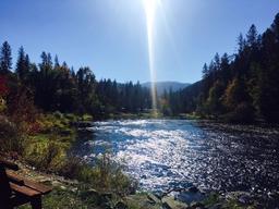Harpster Store & RV Park