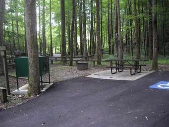 Rock Creek Campground (TN)