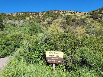 Mink Creek sign and view