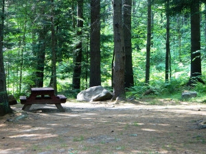 Stony Brook Campground