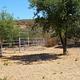 DRIPPING SPRINGS CAMPGROUND (CA)