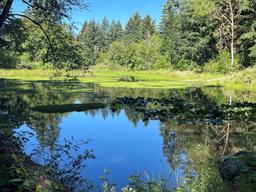 John Neal Memorial County Park