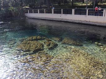 View of water from walkway, two guests viewing blue crabs