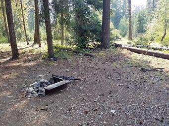 Campfire ring on flat ground covered with fir needles trees and a sunlit meadow in background.