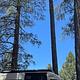 Sunshine the Adventure Van - 2023 Winnebago Revel