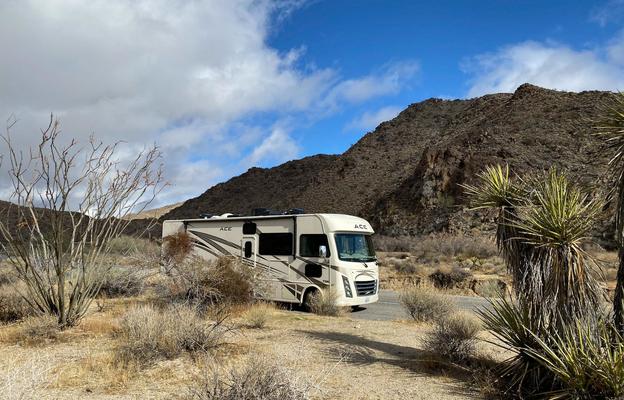 2019 Thor Motor Coach ACE 30.2