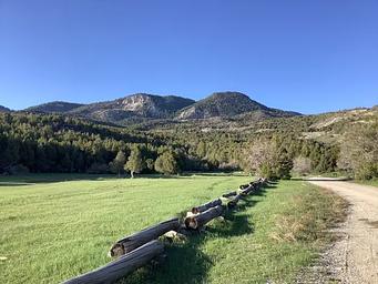 A photo of facility TWIN LAKE CAMPGROUND with No Amenities Shown