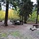 Shaded campsite with picnic table and fire pit