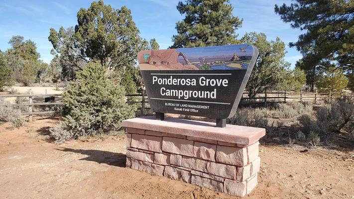 Group Site, Loop: Ponderosa