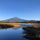 Mt. Bachelor from Hosmer Lake