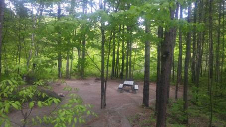 Big Moose Inn Cabins & Campground