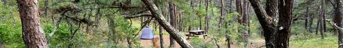 North of Highland Camping Area