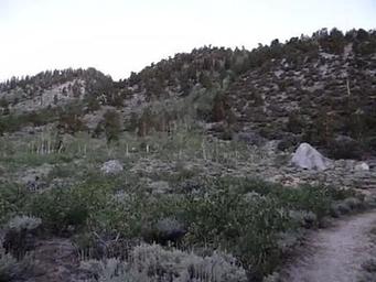Palisades Group Campground