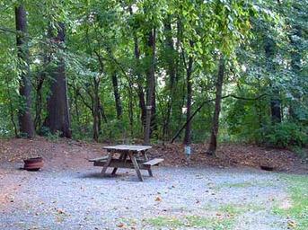 Starlite Camping Resort